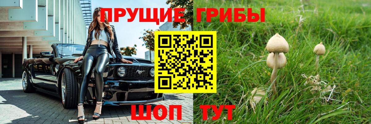Абинск  где найти наркотики  Вход с VPN  Галлюциногенные грибы Magic Shrooms 
